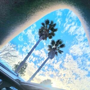 Meet your Posher, Ruth